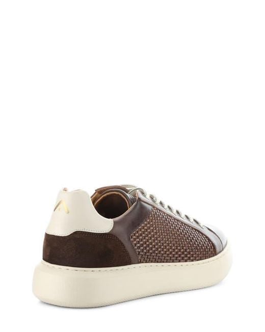 Ambitious Brown 13450 Woven Low Top Sneaker for men