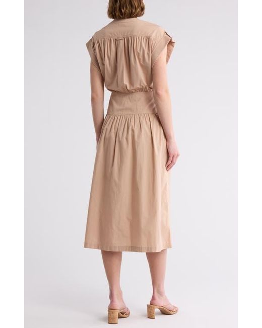 AREA STARS Natural Cuff Button Front Dress