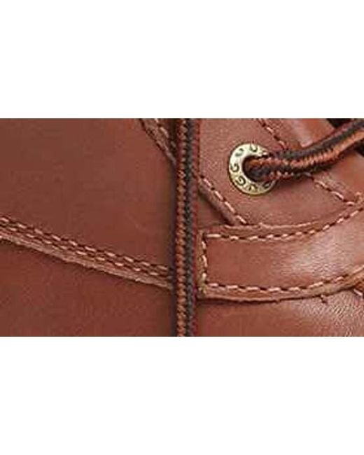 Ugg Brown Butte Waterproof Boot for men