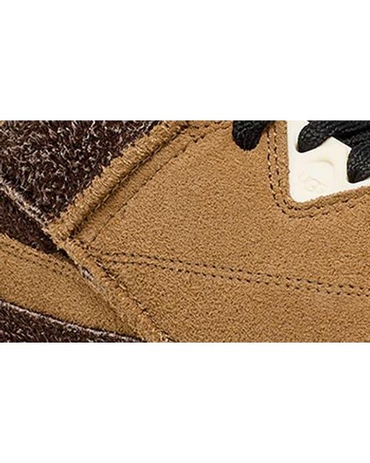 Ugg Black Goldencush Sneaker