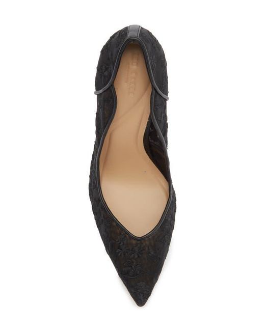 Ted Baker Black Camilla Pointed Toe Pump