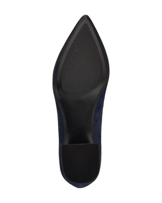 Calvin Klein Blue Lenott Pointed Toe Pump