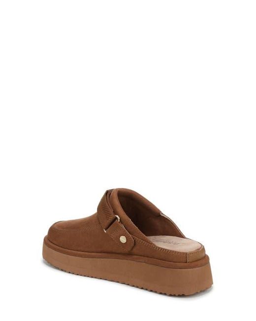 Dr. Scholls Brown Chill Time Clog