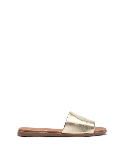 steve madden kailey
