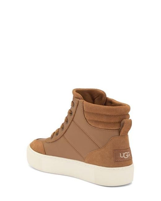 UGG Zilo High Top Sneaker in Brown | Lyst
