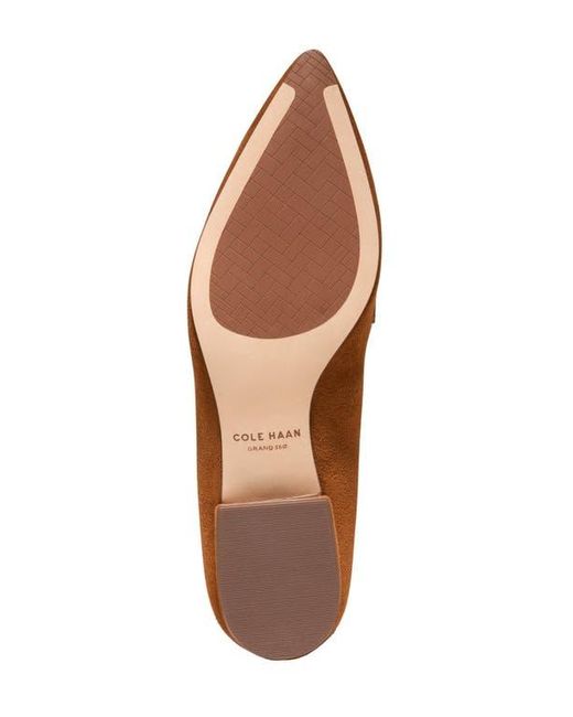 Cole Haan Brown Valantina Pointed Toe Loafer