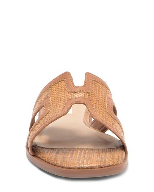 Steven New York Brown Harlien Slide Sandal