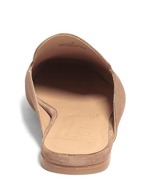 Anthony Veer Brown Lara Mule