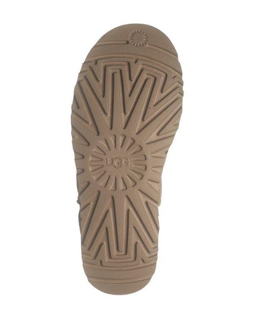 Ugg Brown Classic Slipper