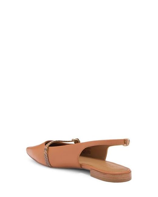 Nordstrom Rack Brown Lauri Slingback Flat