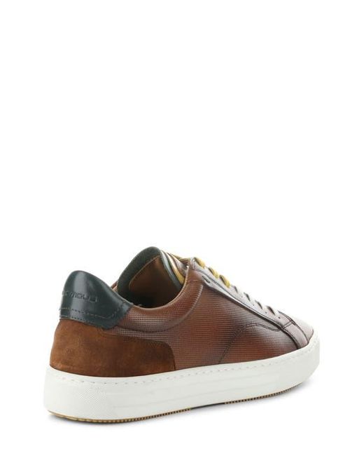 Ambitious Brown 11218 Low Top Sneaker for men