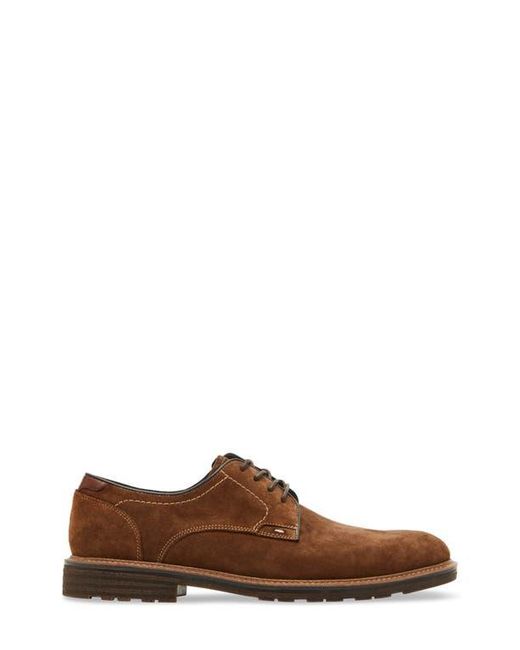 Steve Madden Brown Aeden Derby for men