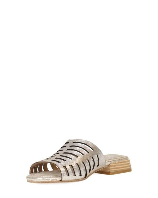 Eileen Fisher Multicolor Fira Slide Sandal