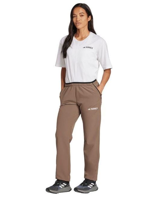 Adidas Gray Terrex Multi Liteflex Pants