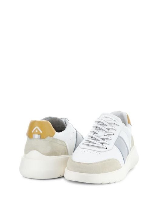 Ambitious White 12863 Low Top Sneaker for men