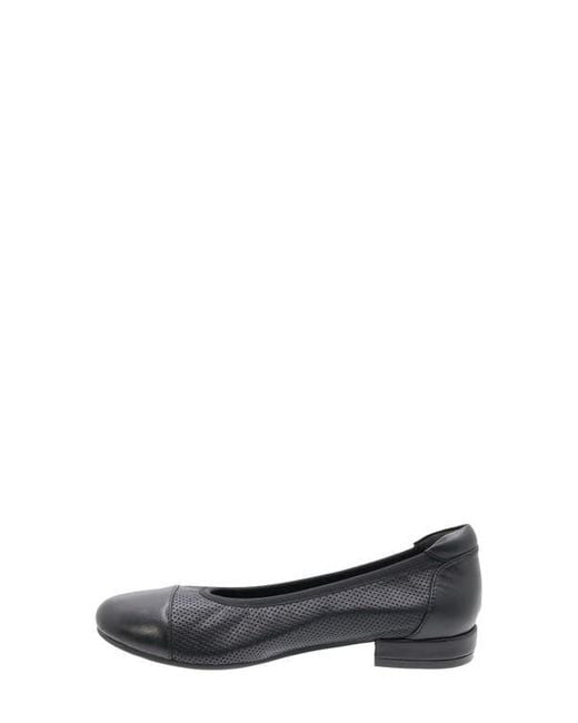 David Tate Black Newton Cap Toe Flat