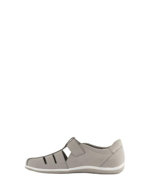 David Tate Gray Optic Flat