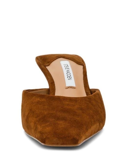 Steve Madden Brown Alyse Mule