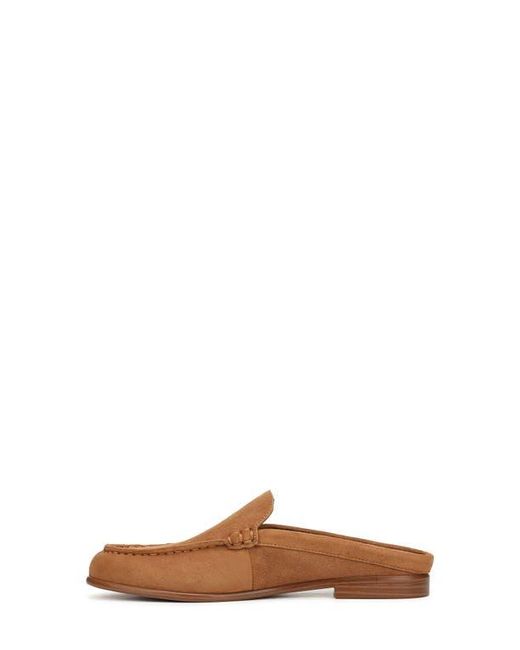 Franco Sarto Brown Mavis Mule