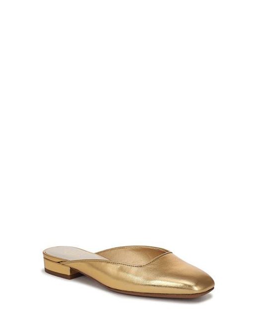 Franco Sarto Multicolor Dayla Mule