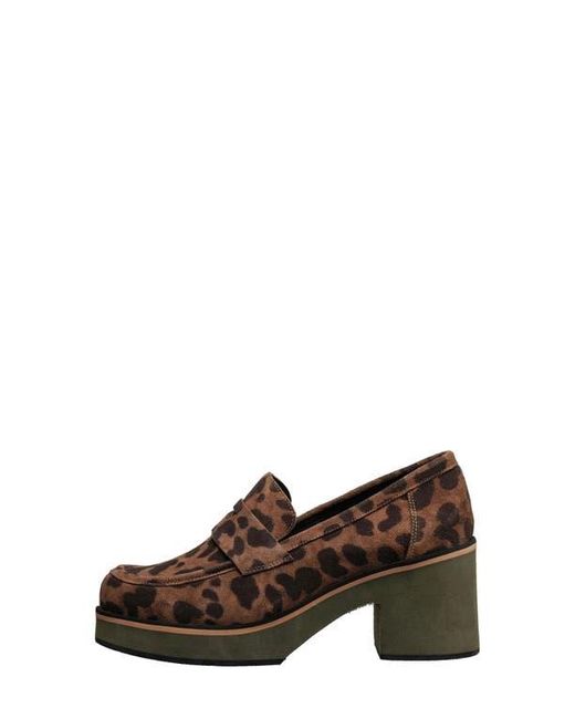 Antelope Brown Ivy Loafer Pump