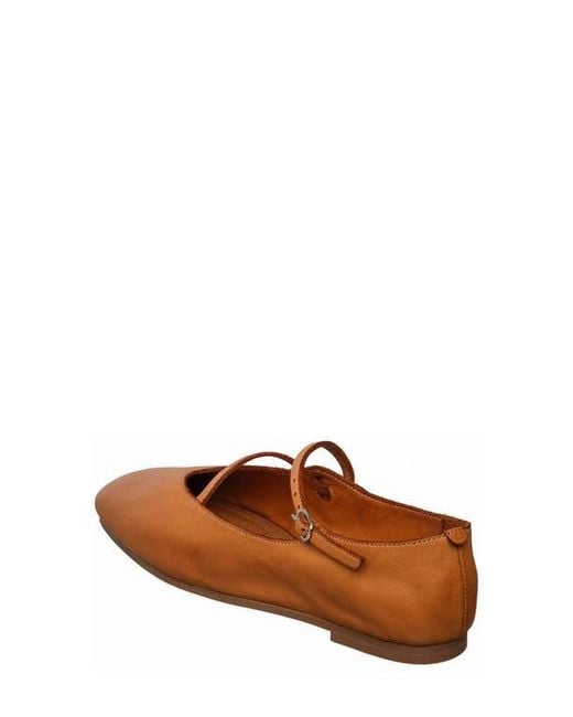 Antelope Brown Lorelei Ballet Flat
