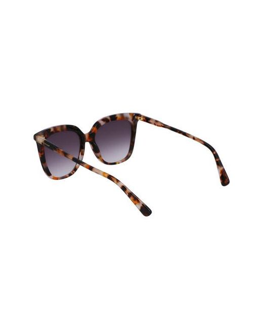 Longchamp Brown 53Mm Rectangular Sunglasses