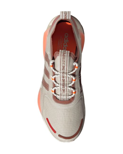 Adidas Brown Nmd_v3 Running Shoe for men