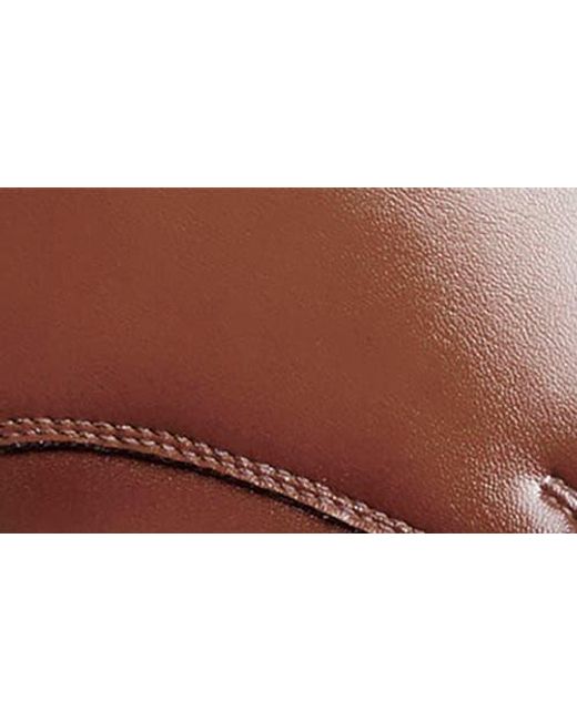 Stacy Adams Brown Nelson Cap Toe Derby for men