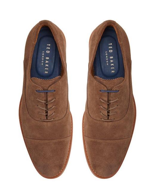 Ted Baker Brown Oxford for men