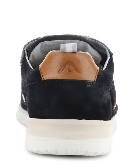 Ambitious Black 12827 Perforated Sneaker for men