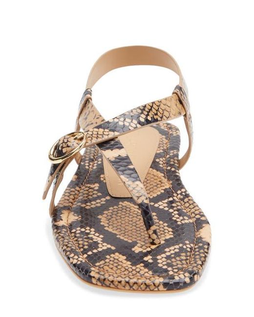 Stuart Weitzman Multicolor Benni Slingback Flat Sandal