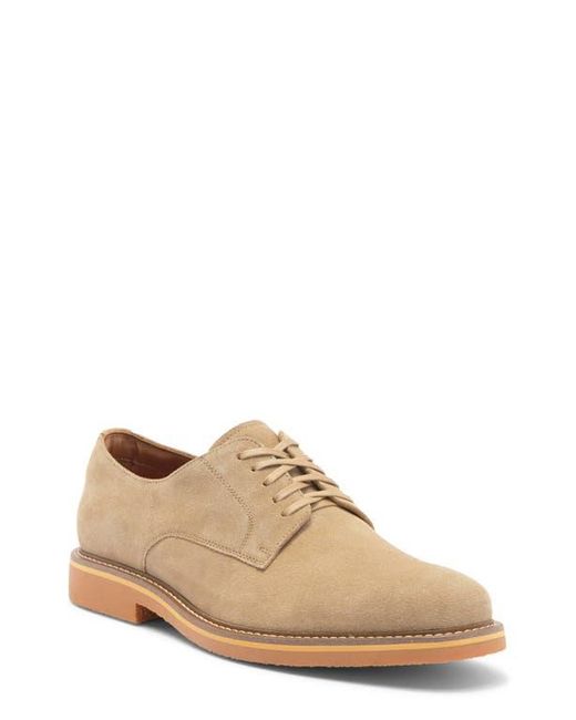 Steve Madden Natural Petit Derby for men