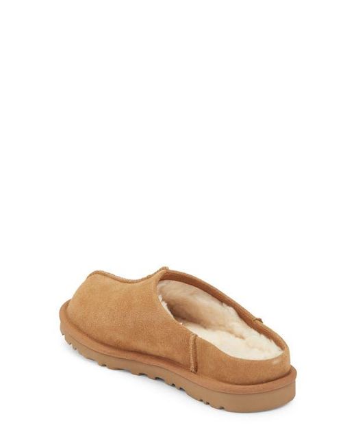 Ugg Brown Loria Clog