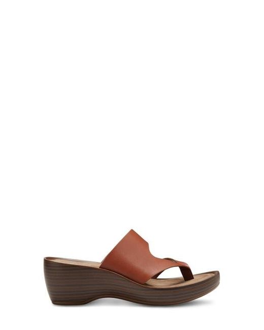 Eastland Brown Laurel Wedge Sandal