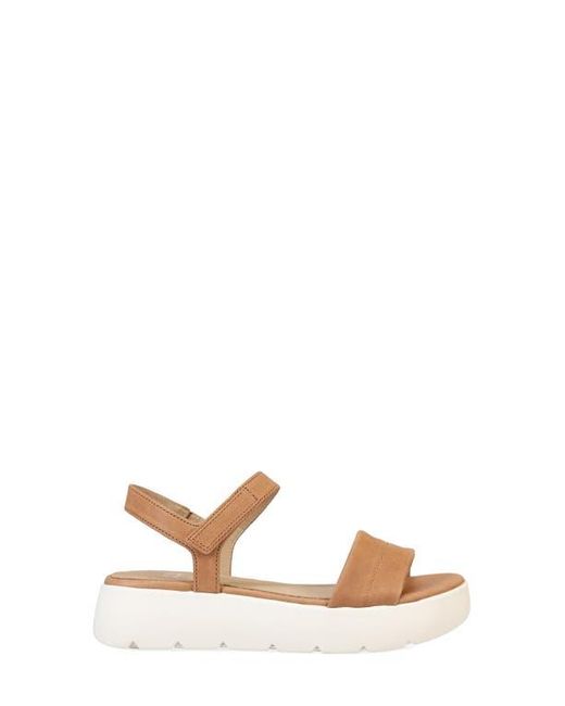 Eileen Fisher Multicolor Jolie Ankle Strap Platform Sandal