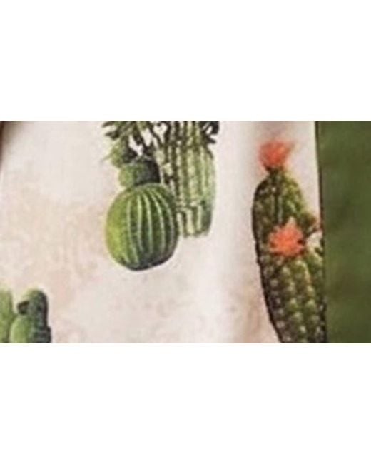 Saachi Brown Cactus Short Topper
