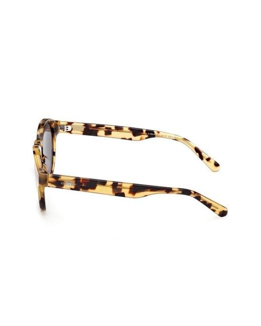 Gant Brown Round Sunglasses for men