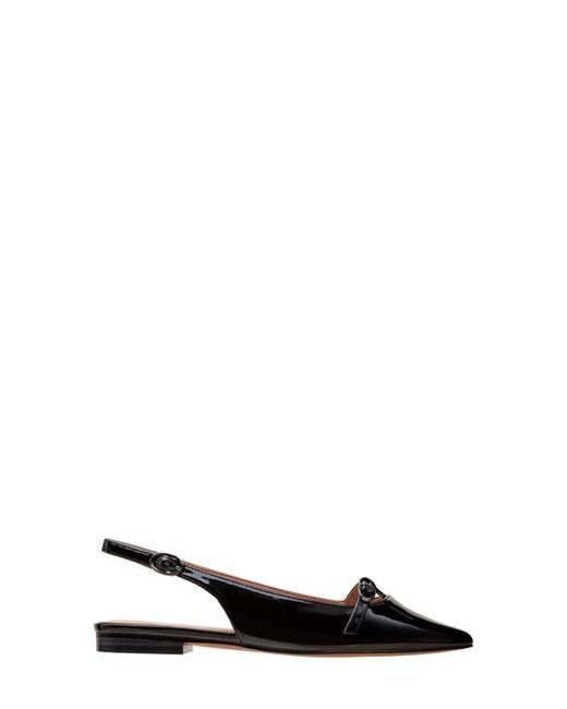 Linea Paolo Black Celina Pointed Toe Slingback Flat