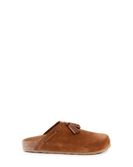 Seychelles Brown Windswept Tassel Clog
