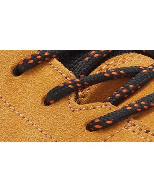 Ara Multicolor Petro Waterproof Sneaker for men