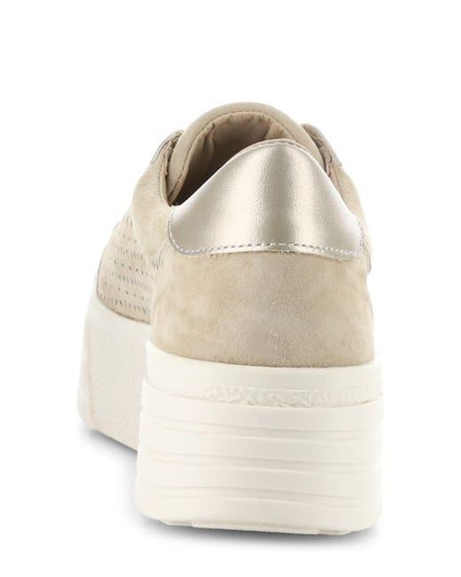 Bos. & Co. White Lotta Platform Sneaker