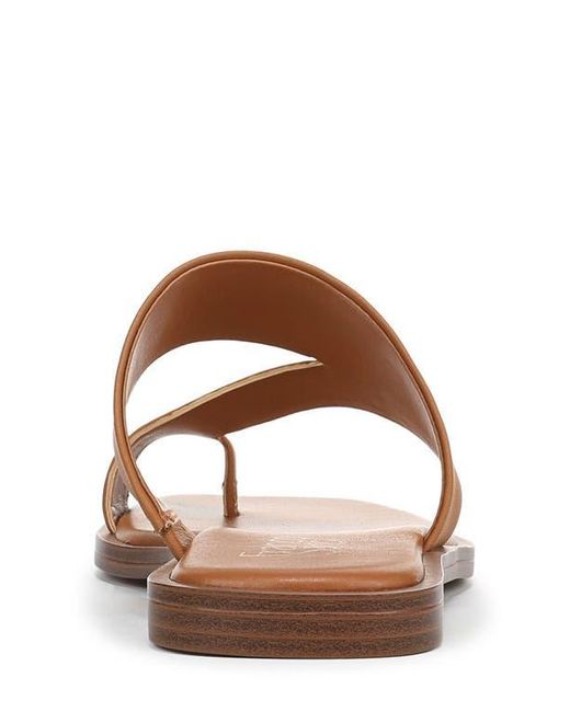 Franco Sarto Brown Monalee Sandal