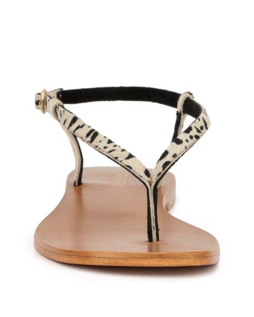 TORGEIS Black Diana Animal Print Thin Strap Sandal