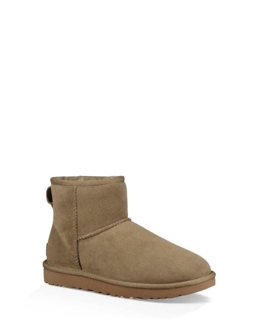 Ugg Brown Ugg Classic Mini Ii Genuine Shearling Lined Boot