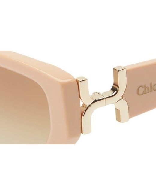 Chloé Multicolor Cat Eye Sunglasses