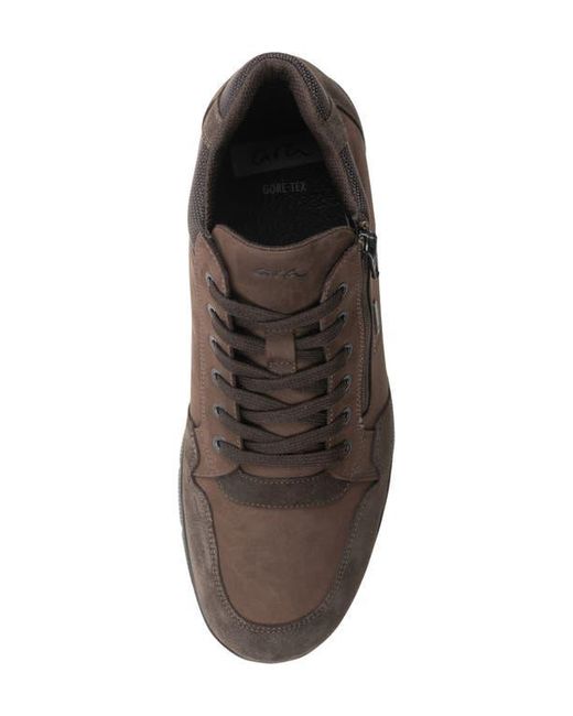 Ara Brown Braxton Waterproof Sneaker for men