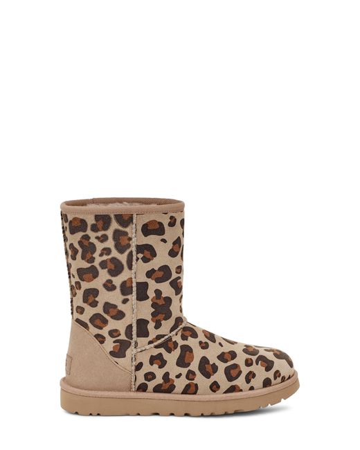 UGG Classic Short Ii Genuine Sheepskin 