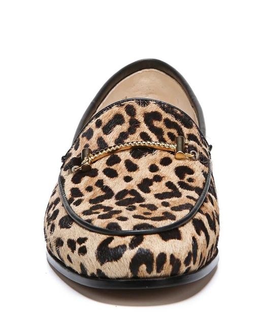 sam edelman lior calf hair loafer