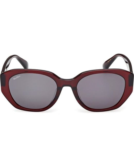 Max Mara Brown 54Mm Round Sunglasses